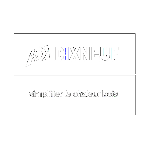 logo dixneuf