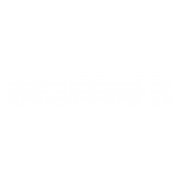 logo brunner